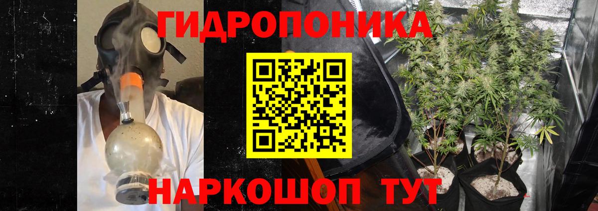 Марихуана гибрид  Бошки марихуана OG Kush  Ржев  Марихуана тримм  Вход с VPN 